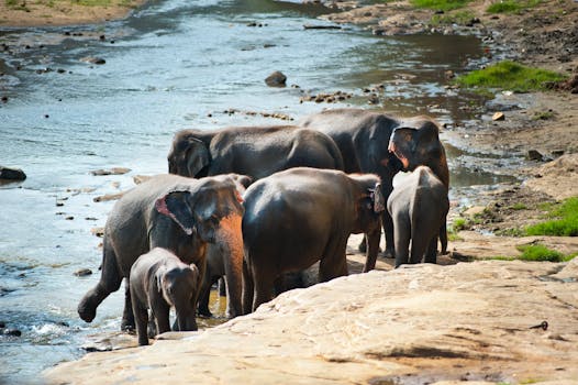 family discussing water conservation
