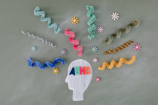 Diagram of adolescent brain development